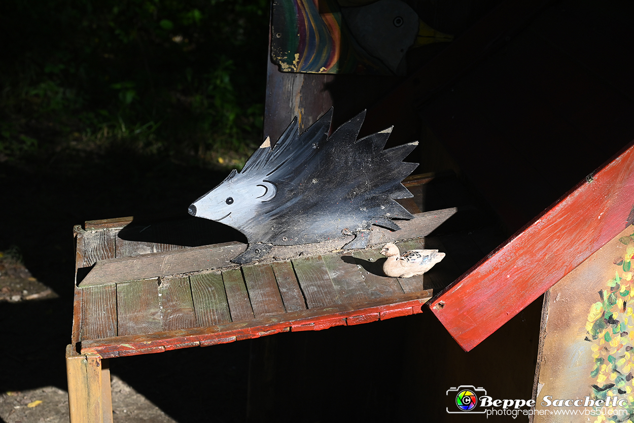 VBS_4813 - Il bosco fatato - Montaldo Roero.jpg
